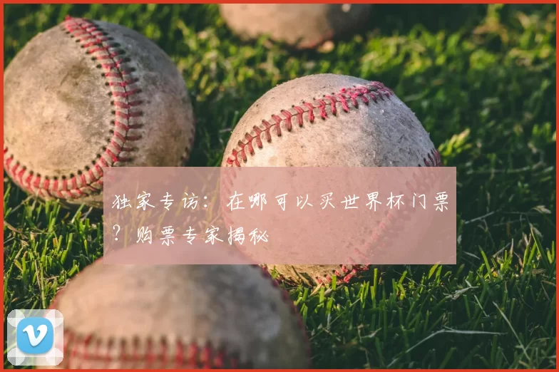 独家专访：在哪可以买世界杯门票？购票专家揭秘