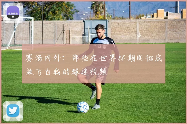 赛场内外：那些在世界杯期间彻底放飞自我的球迷视频