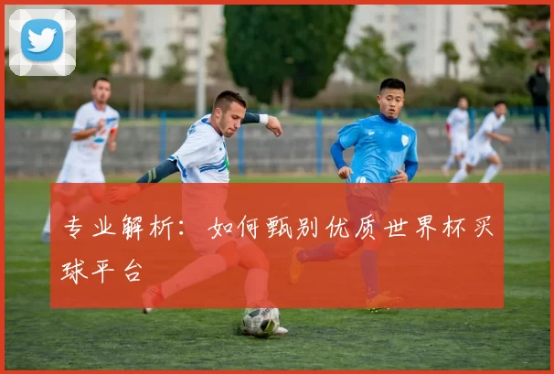 专业解析：如何甄别优质世界杯买球平台