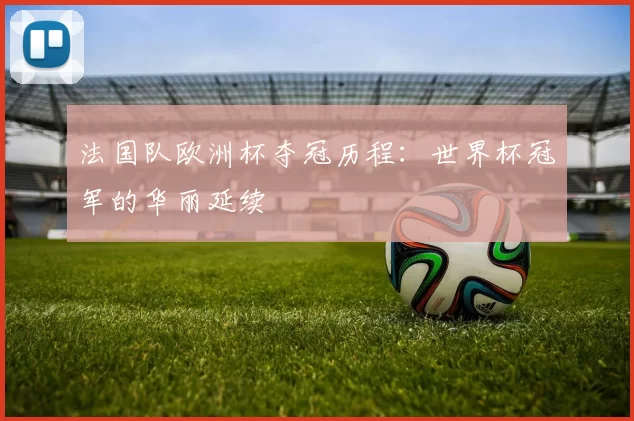 法国队欧洲杯夺冠历程：世界杯冠军的华丽延续