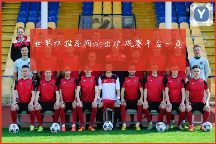 世界杯推荐网址出炉 观赛平台一览