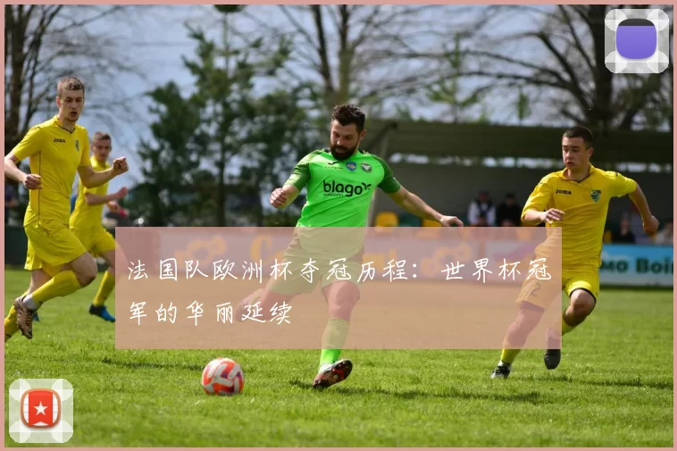 法国队欧洲杯夺冠历程：世界杯冠军的华丽延续