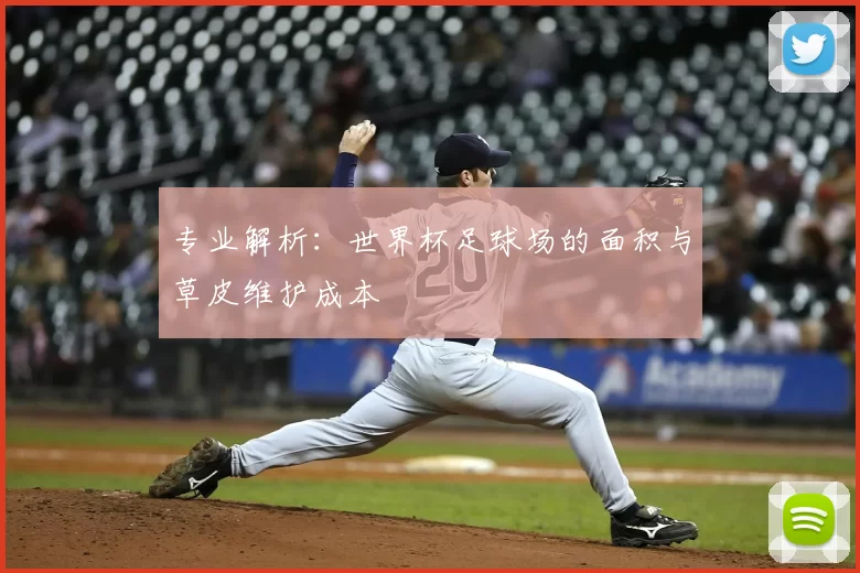 专业解析：世界杯足球场的面积与草皮维护成本