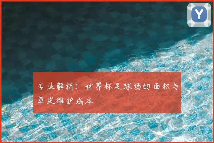 专业解析:世界杯足球场的面积与草皮维护成本