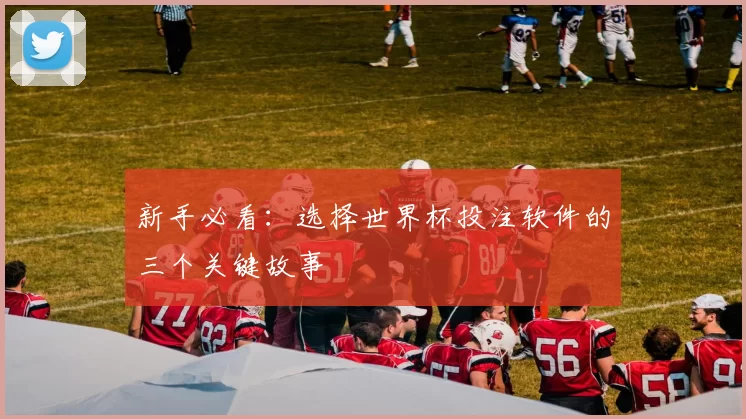 新手必看：选择世界杯投注软件的三个关键故事