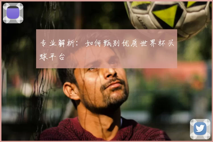 专业解析：如何甄别优质世界杯买球平台
