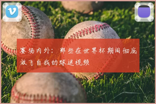 赛场内外：那些在世界杯期间彻底放飞自我的球迷视频