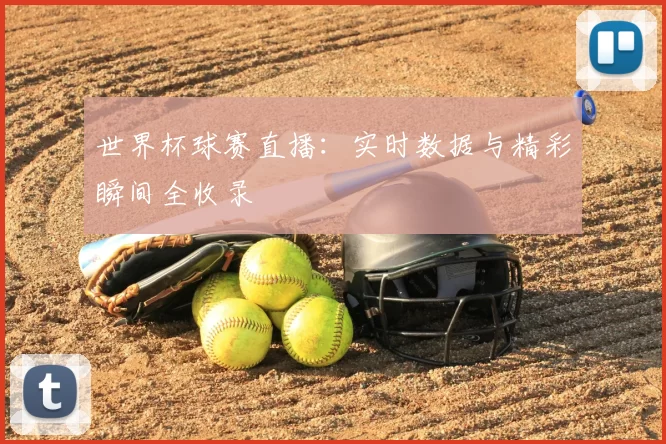 世界杯球赛直播：实时数据与精彩瞬间全收录